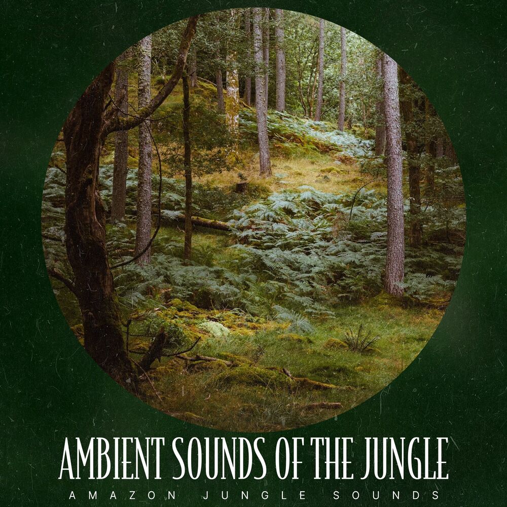 Picture of Ambient Sounds of the Jungle