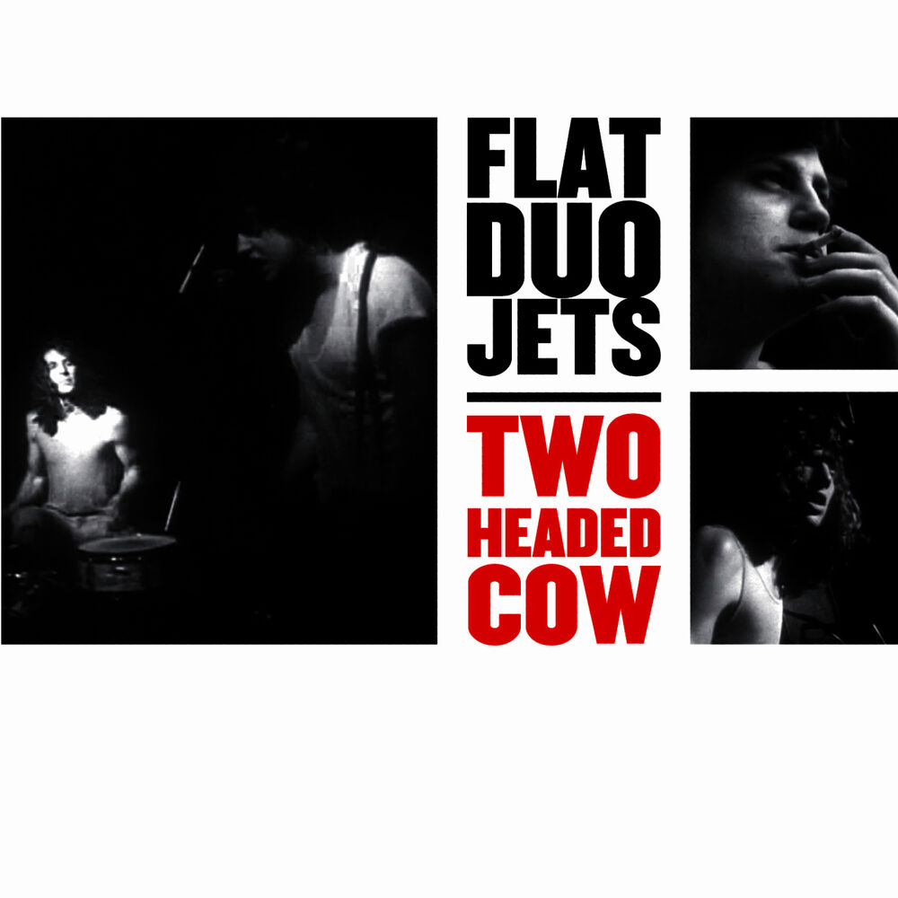 Picture of Two Headed Cow