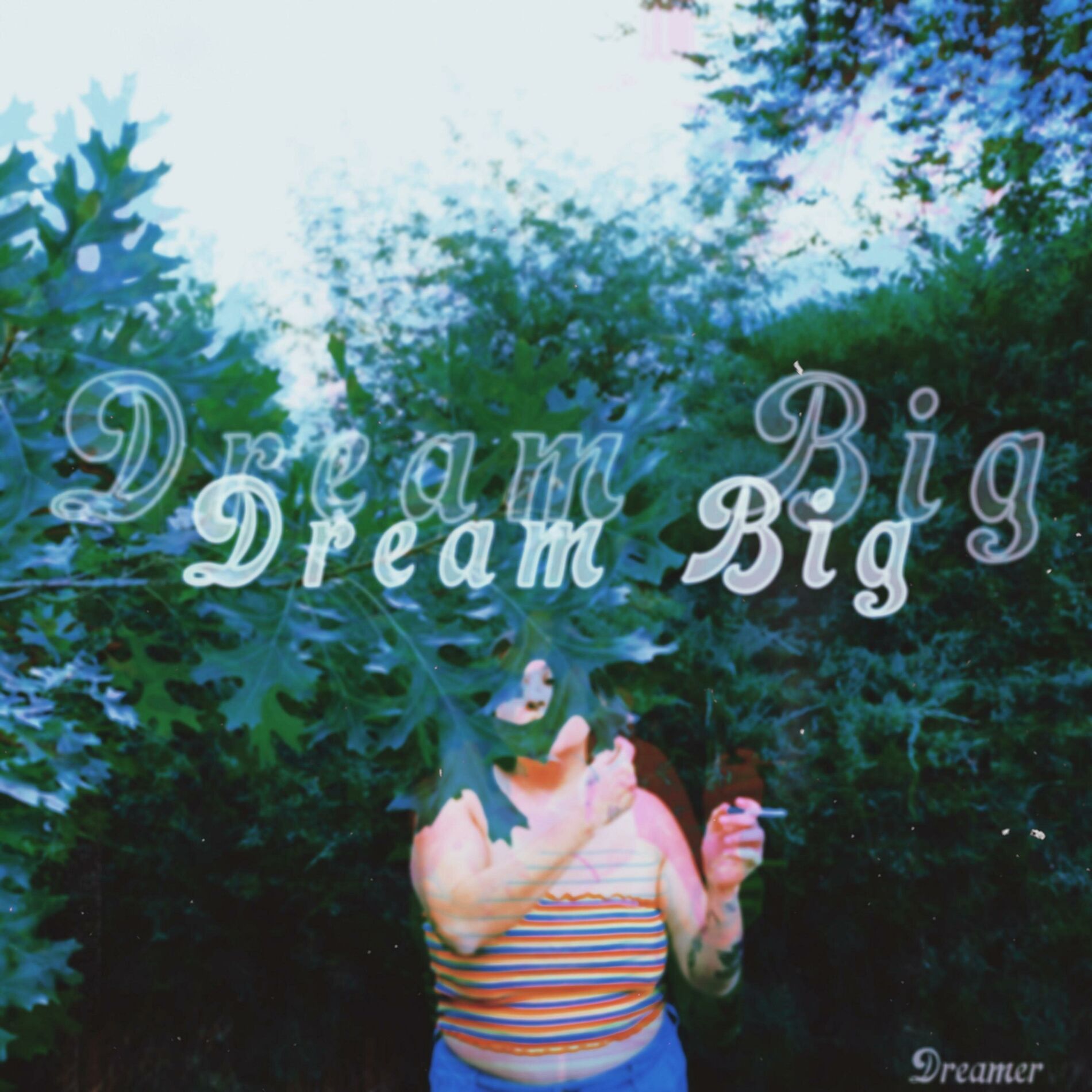 Album cover of Dream Big