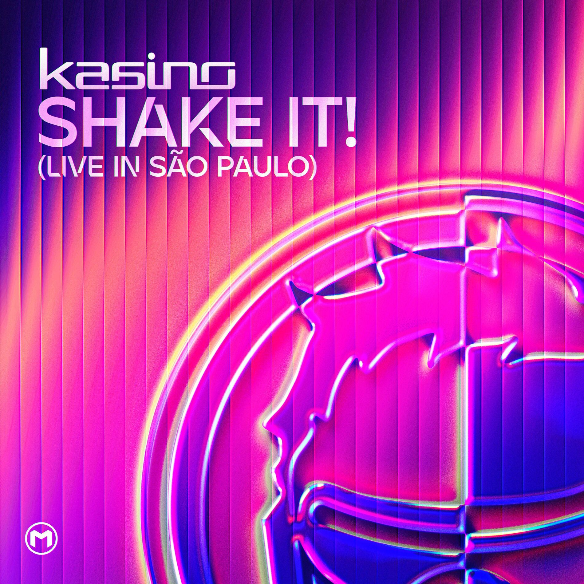 Album cover of Shake It! (Live in São Paulo)