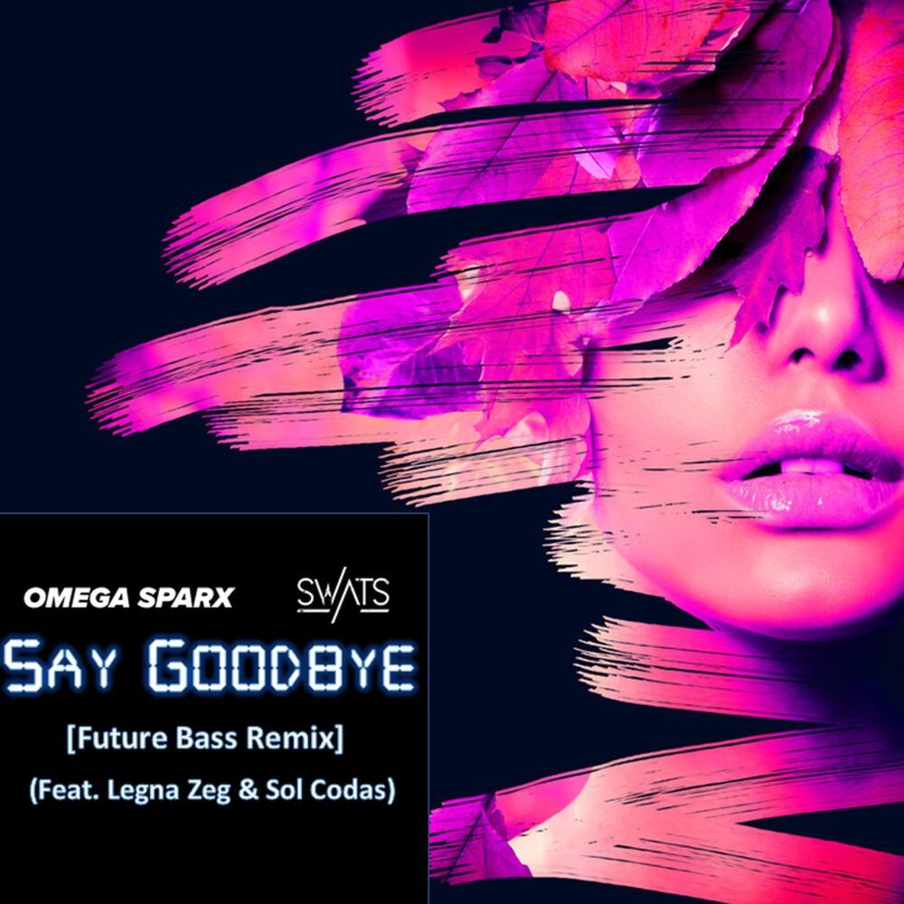 Picture of Say Goodbye (feat. Legna Zeg & Sol Codas)