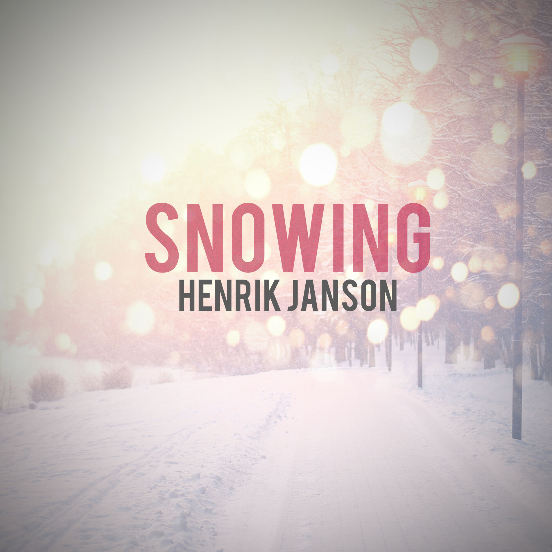 Album cover of Snowing