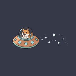 Cover of space shiba