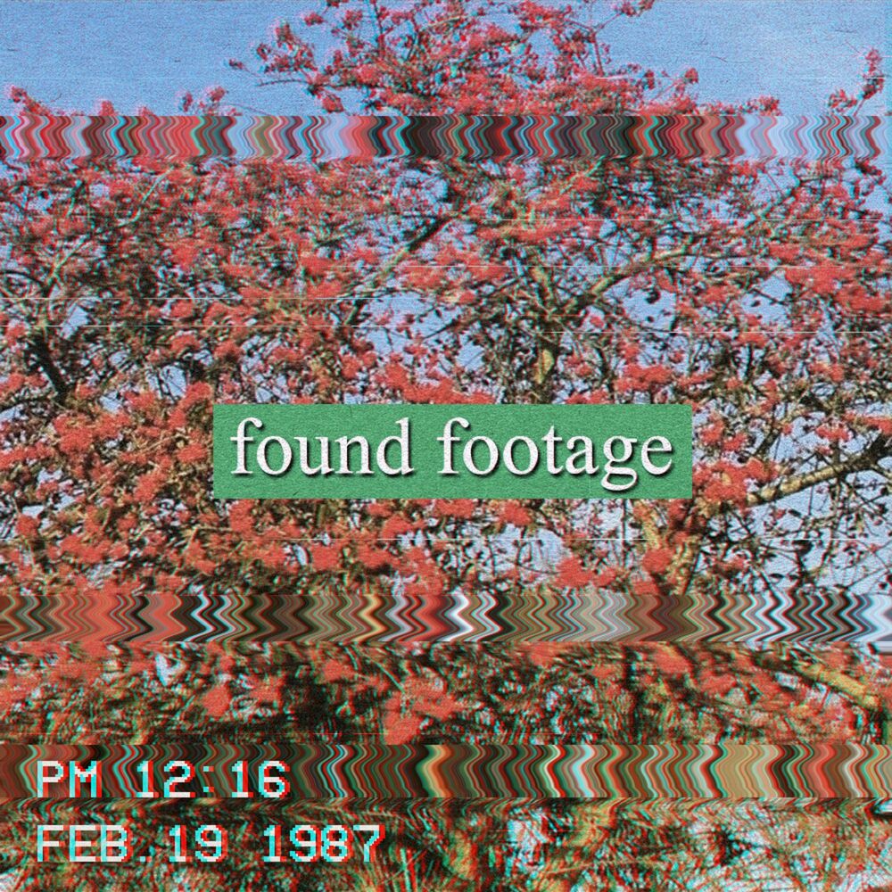 Picture of Found Footage