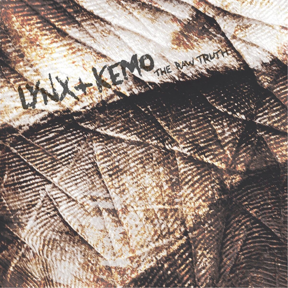 Album cover of The Raw Truth