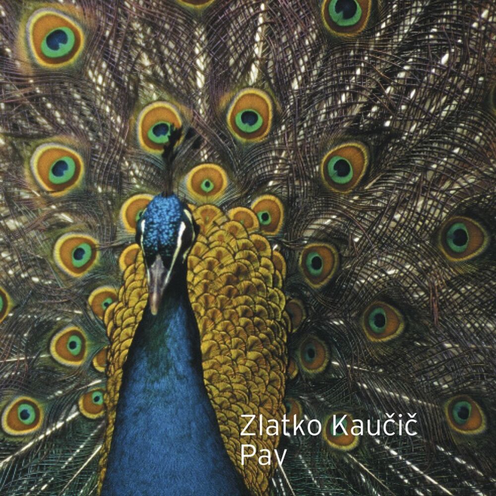 Picture of Pav