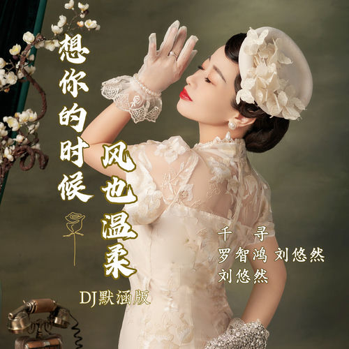 想你的时候风也温柔 (DJ默涵版)