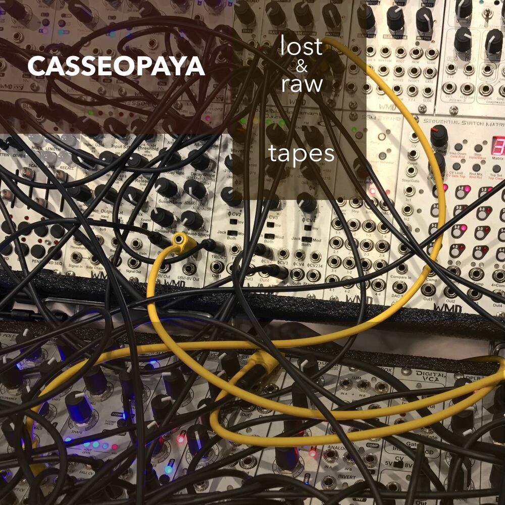 Picture of Lost and Raw Tapes