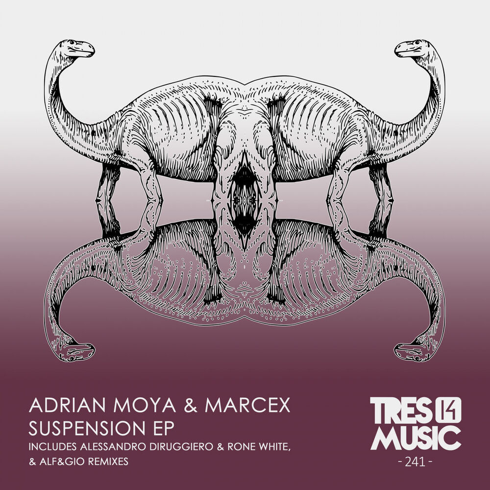 Picture of SUSPENSION EP