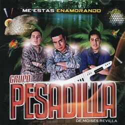 Cover of Me Estas Enamorando