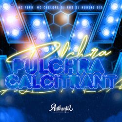Cover of Pulchra Calcitrant