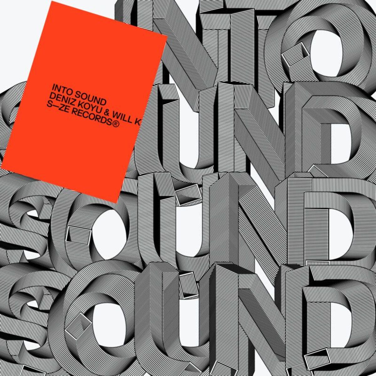 Album cover of Into Sound