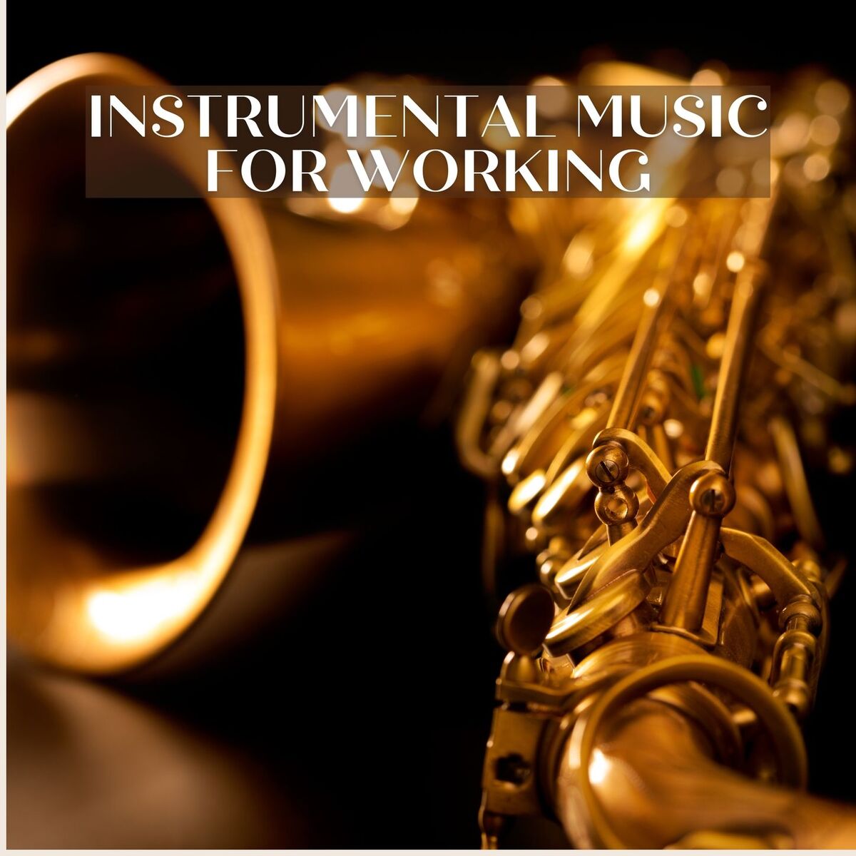 Album cover of Instrumental Music for Working