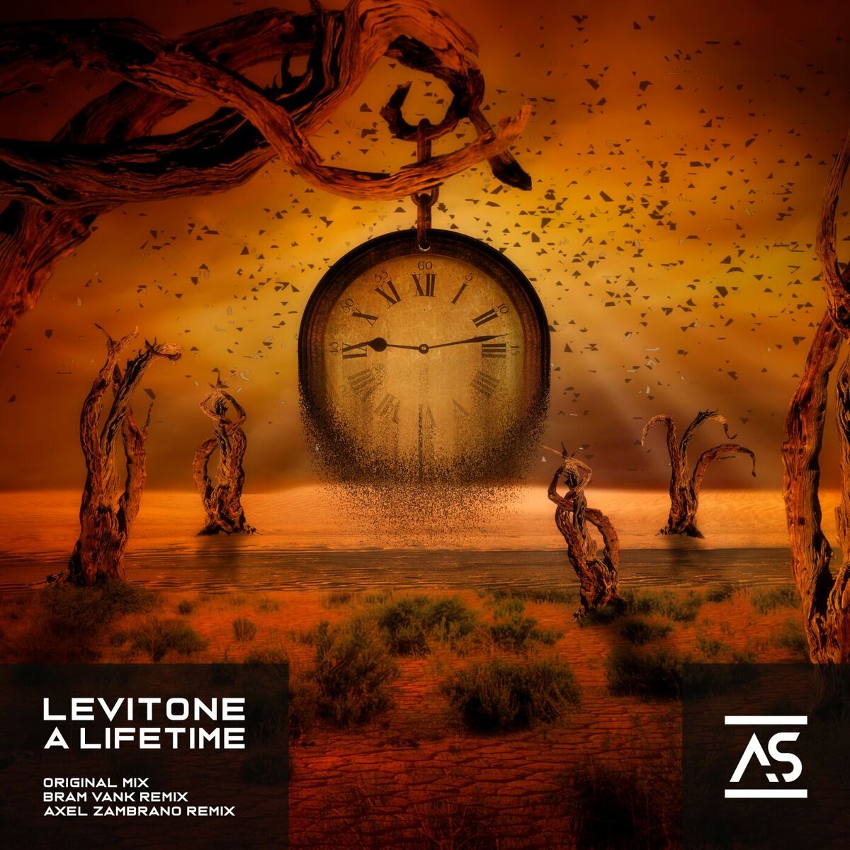 Album cover of A Lifetime