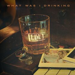 Cover of What Was I Drinking