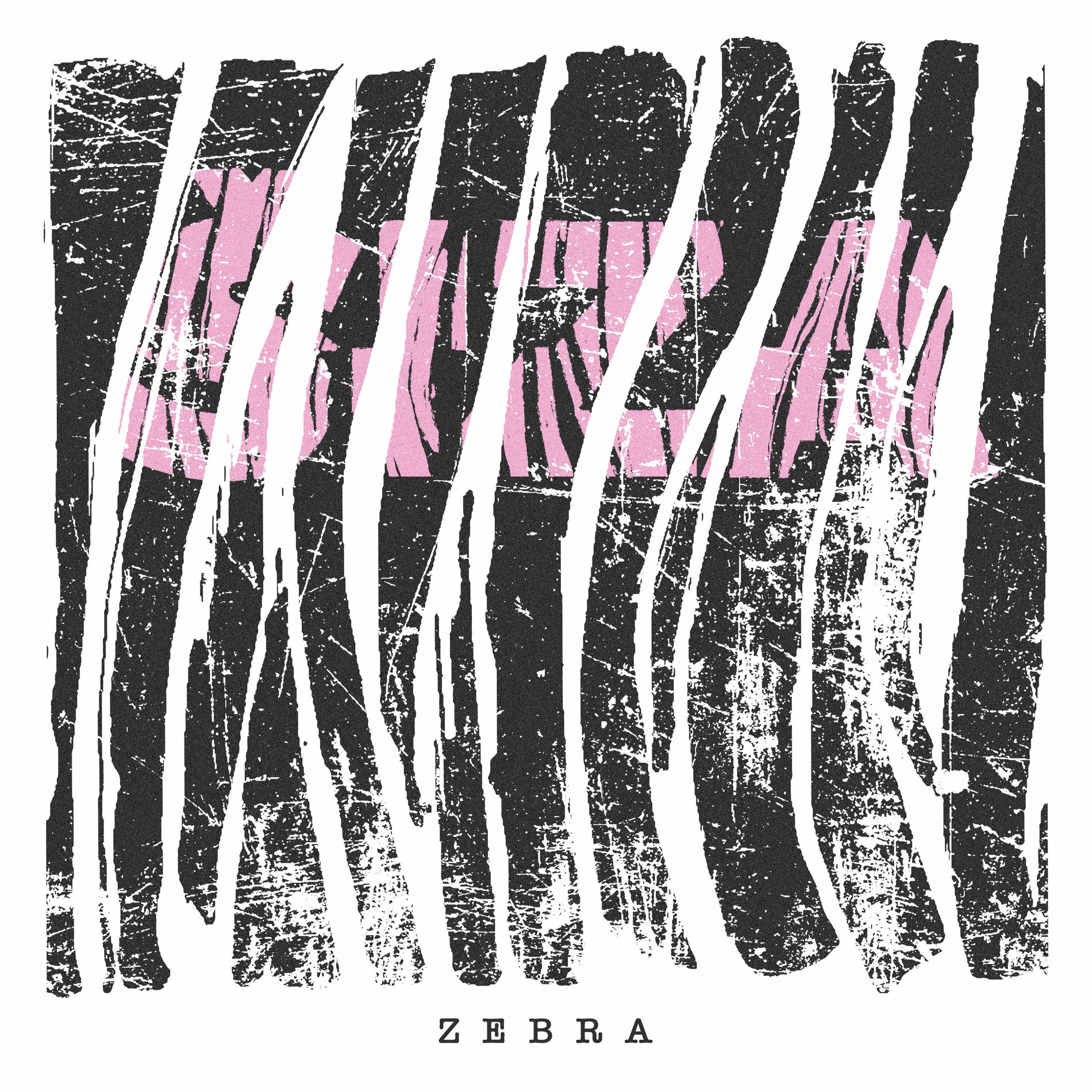 Album cover of Zebra