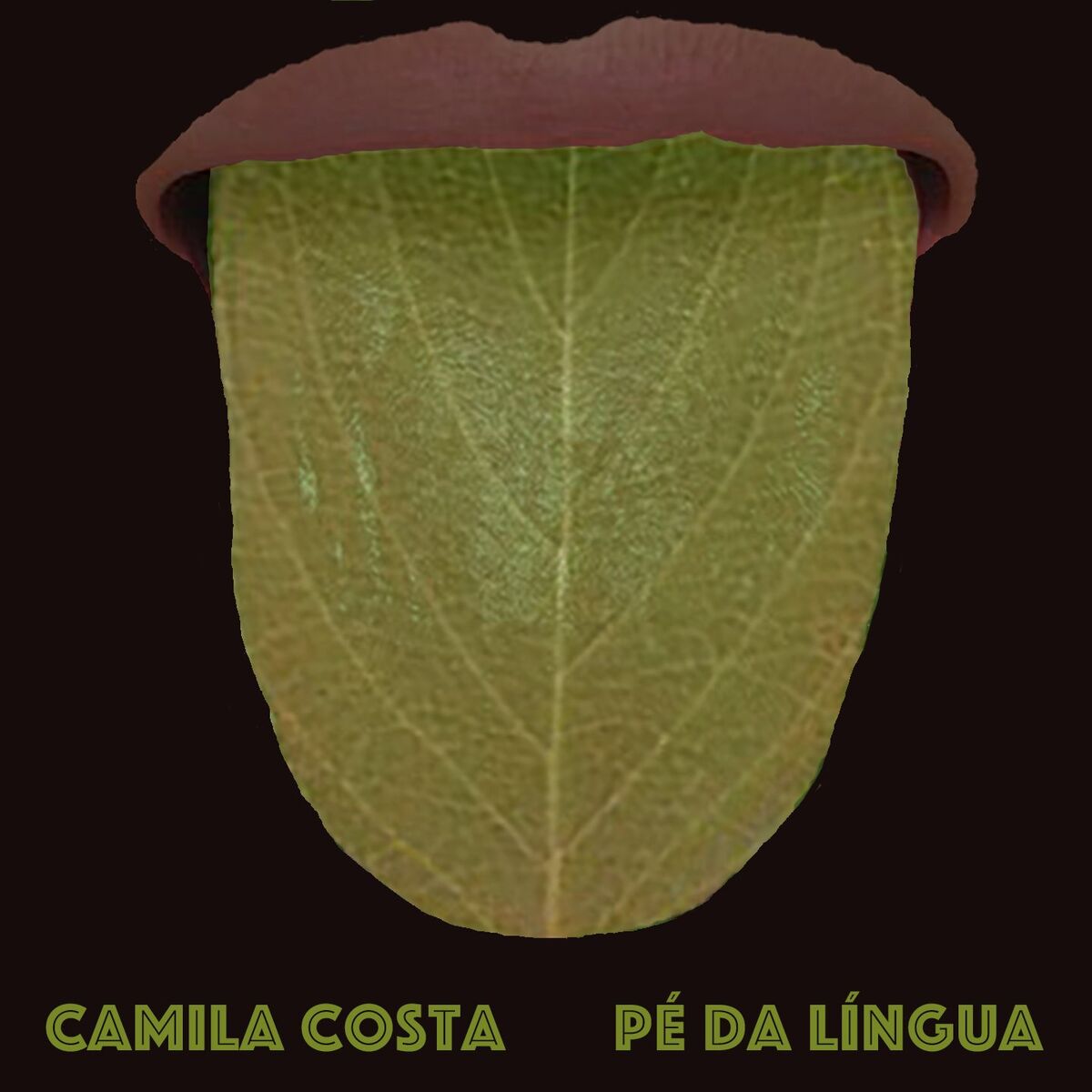 Album cover of Pé da Língua