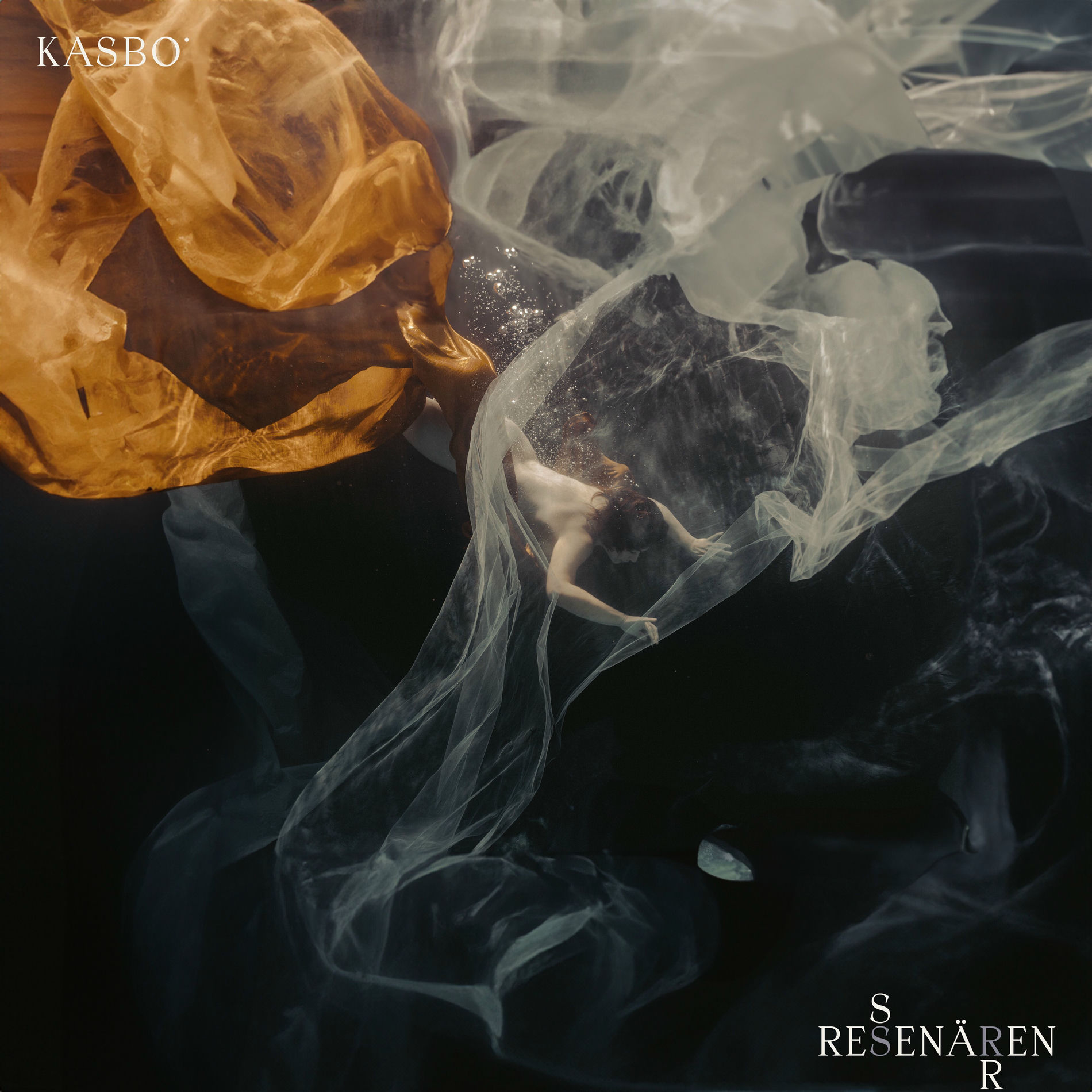 Album cover of Resenären