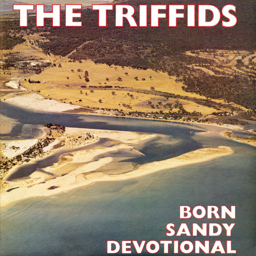 Picture of Born Sandy Devotional