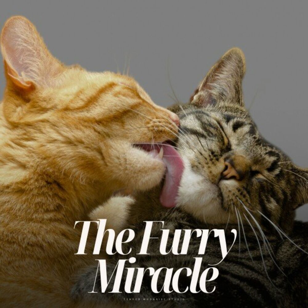 Picture of The Furry Miracle