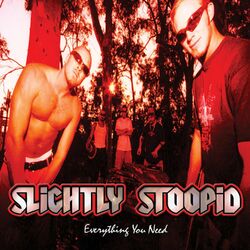 Cover of Everything You Need