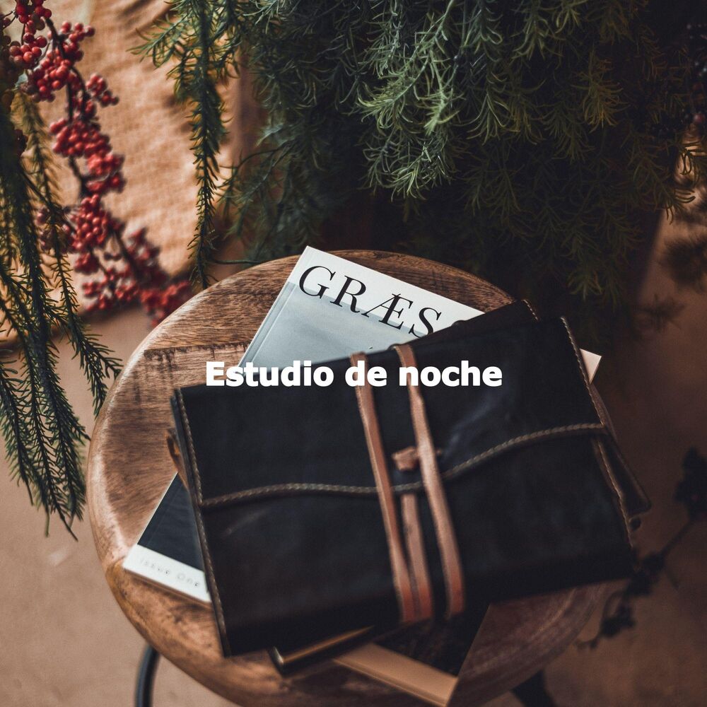 Picture of Estudio de noche