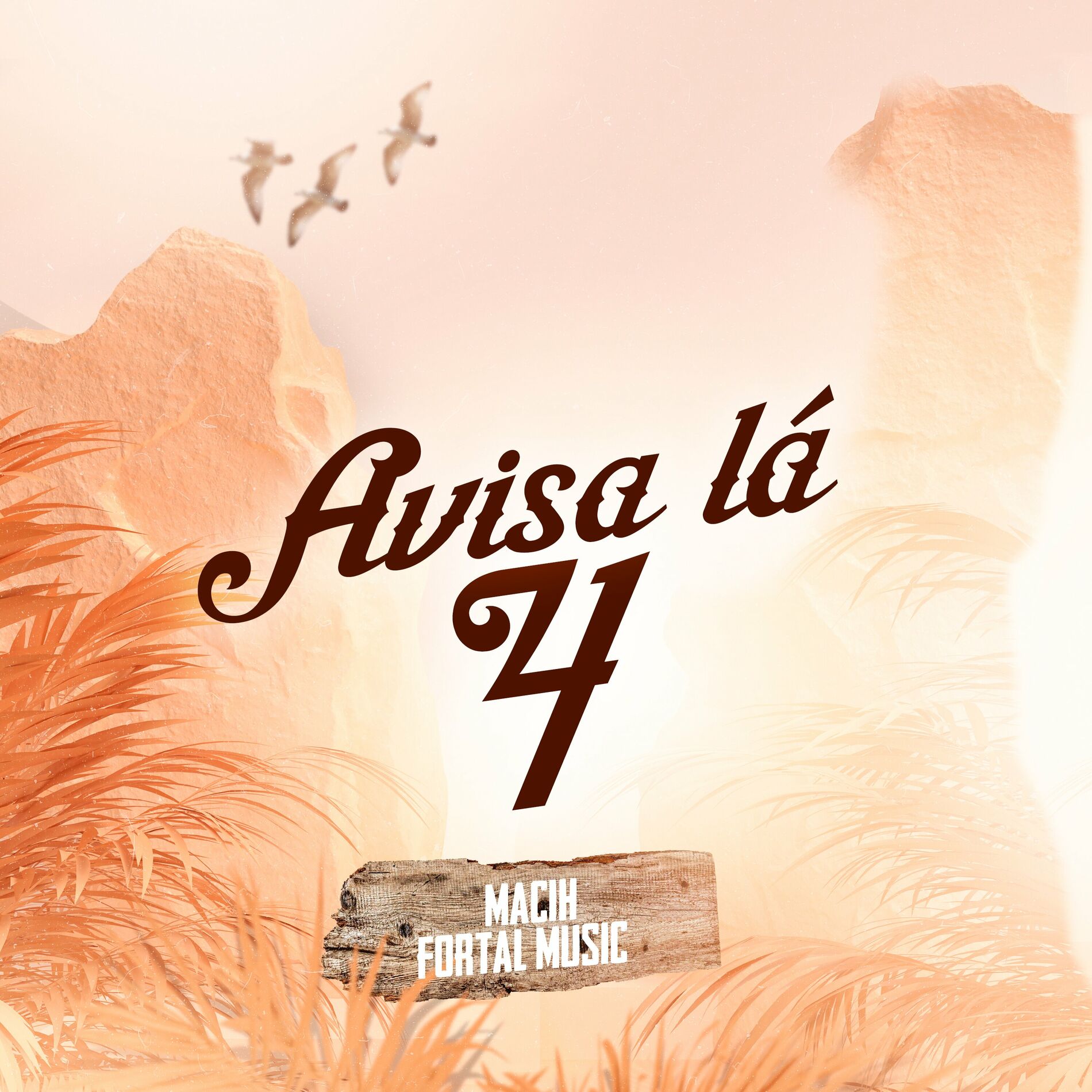 Album cover of Avisa Lá 4