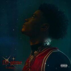 Cover of Flu Game
