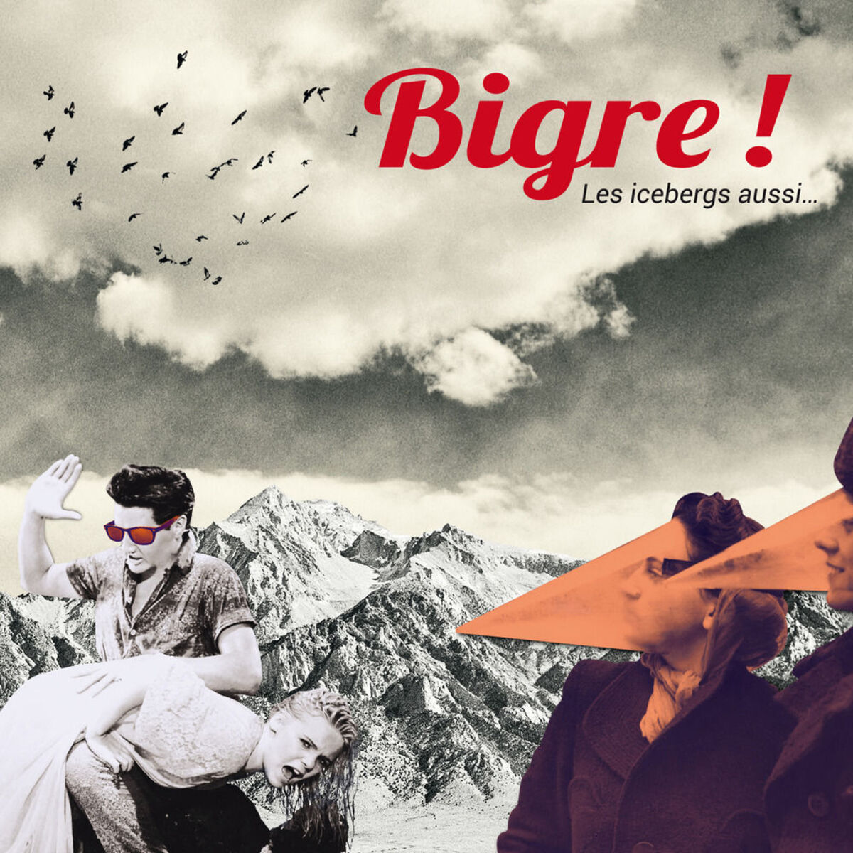 Album cover of Les icebergs aussi...
