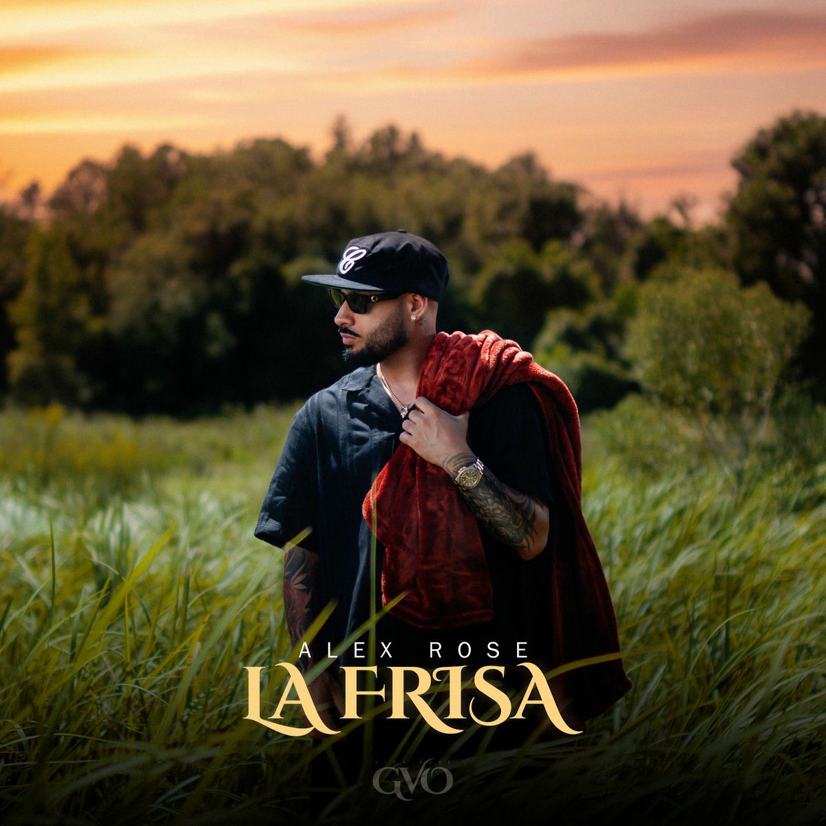 Album cover of La Frisa