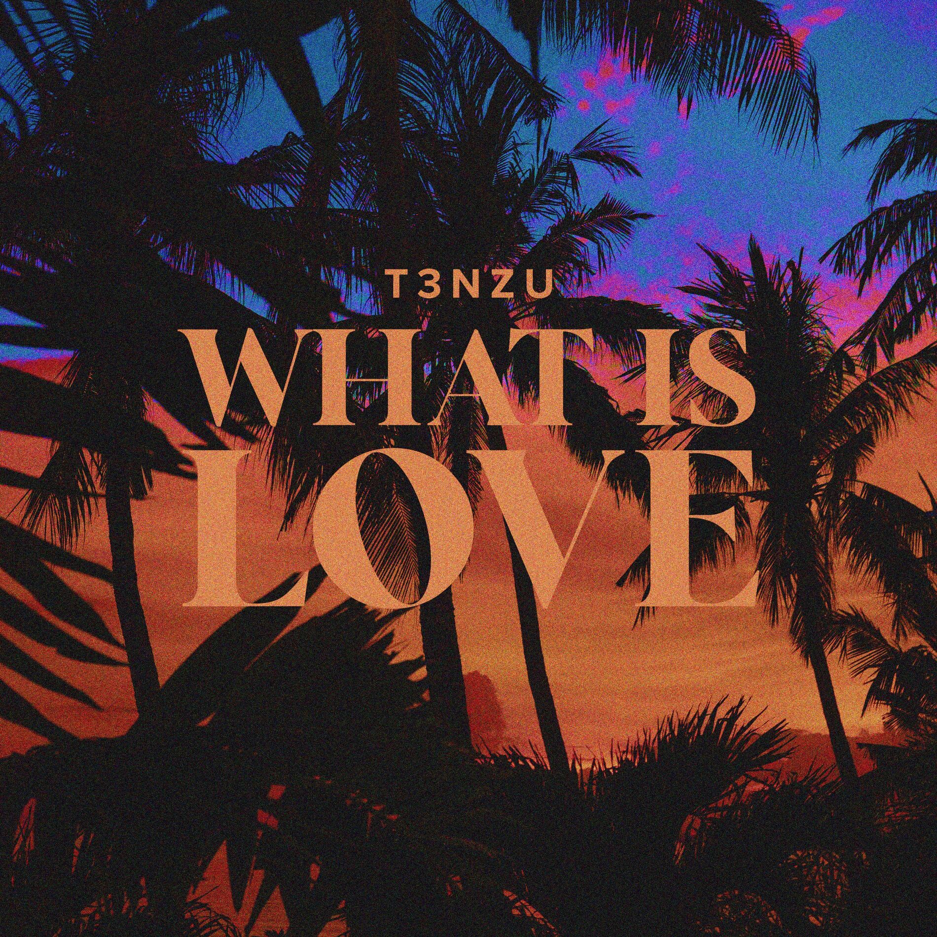 Album cover of What Is Love