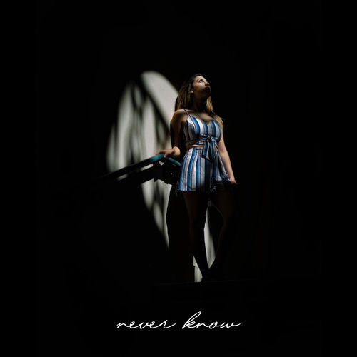 Never Know artwork