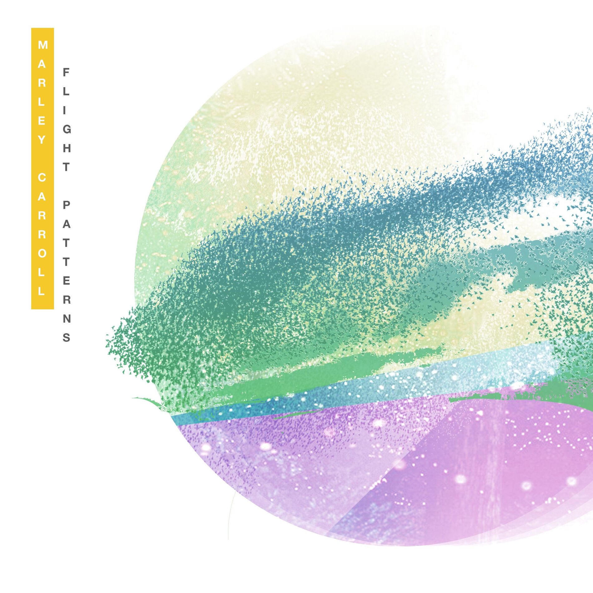 Album cover of Flight Patterns