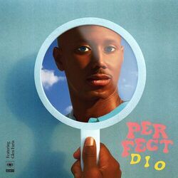 Cover of Perfect