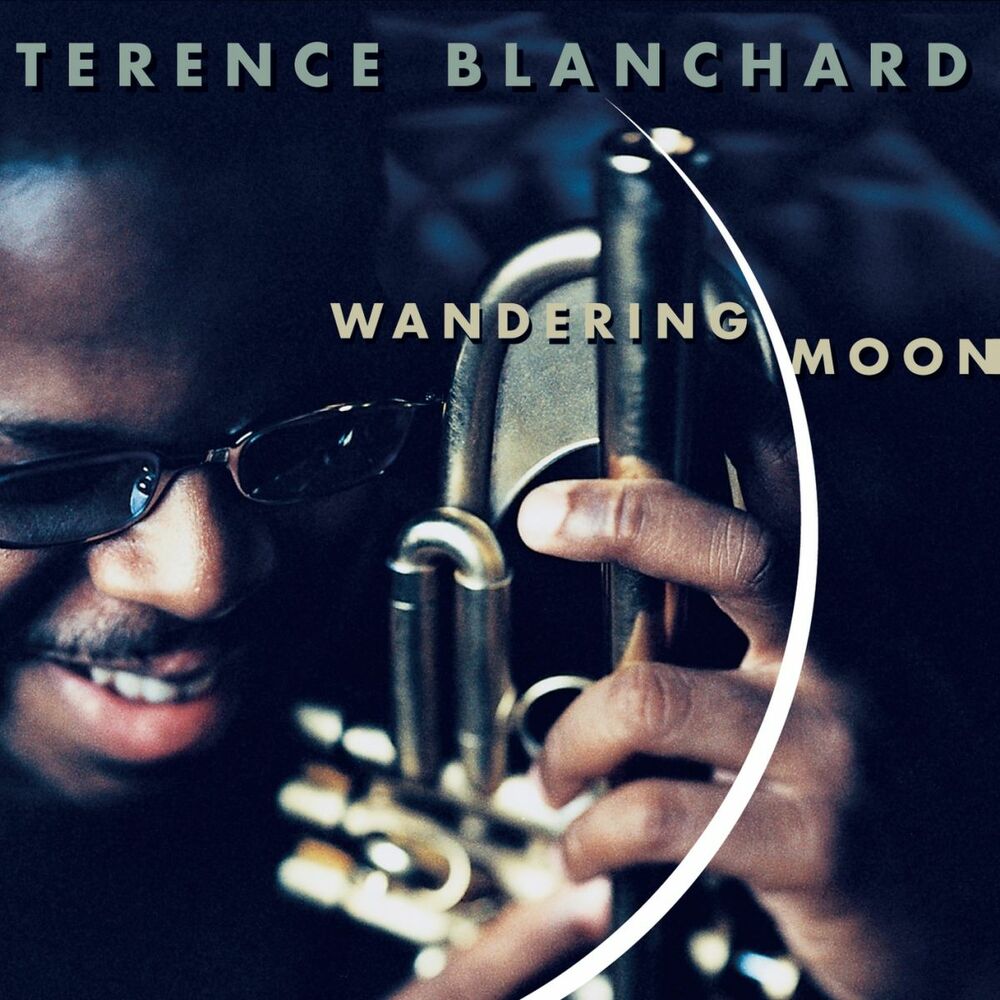 Picture of Wandering Moon