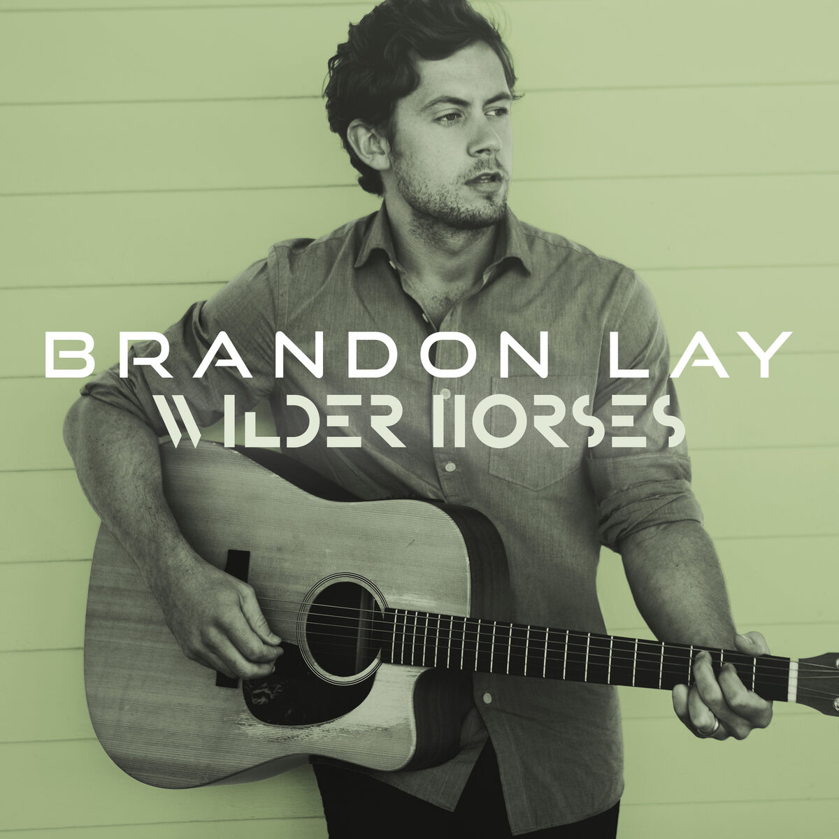 Album cover of Wilder Horses
