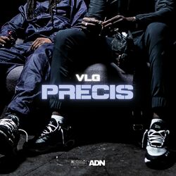Cover of Précis