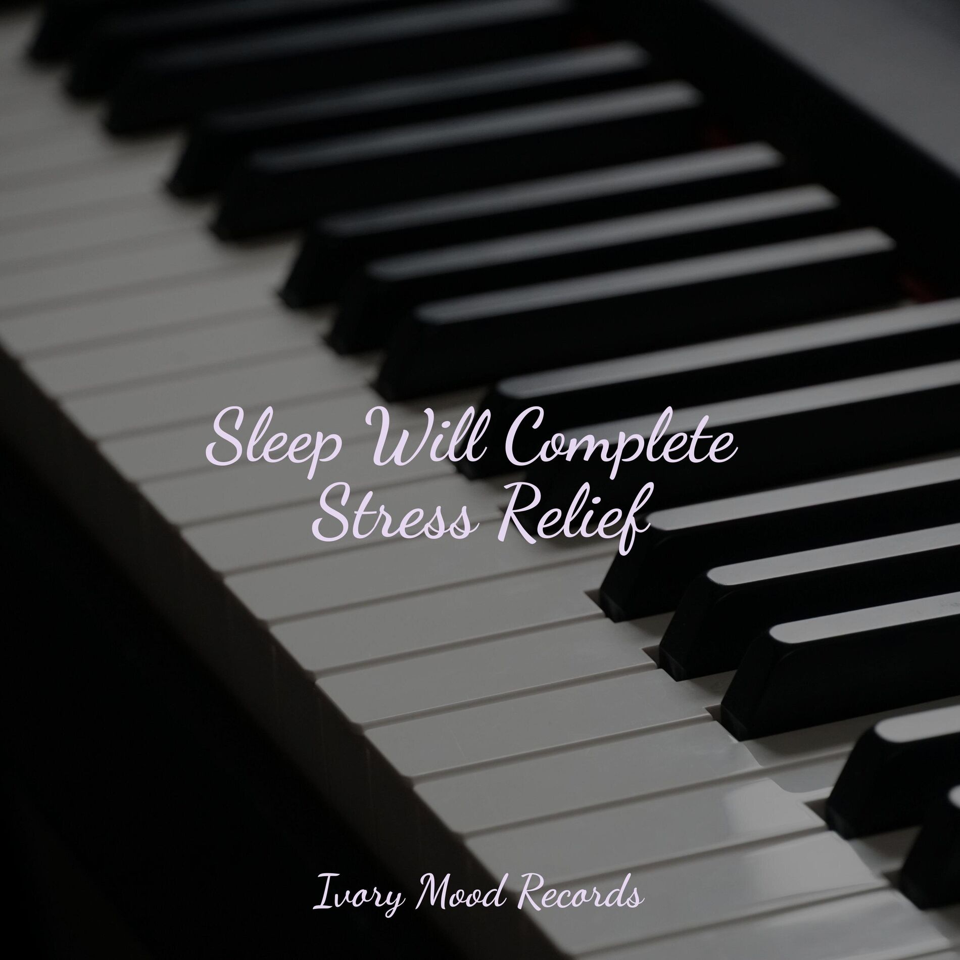 Album cover of Sleep Will Complete Stress Relief