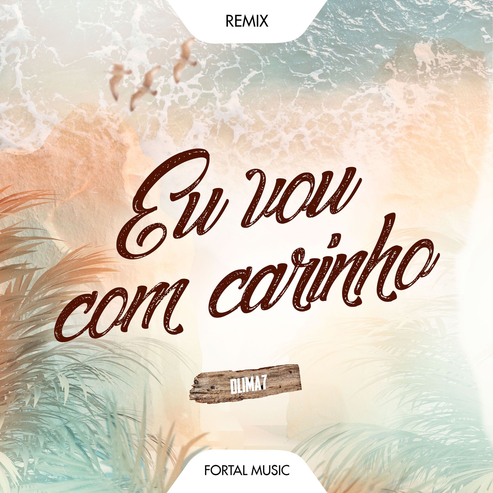 Album cover of Eu Vou Com Carinho (Remix)