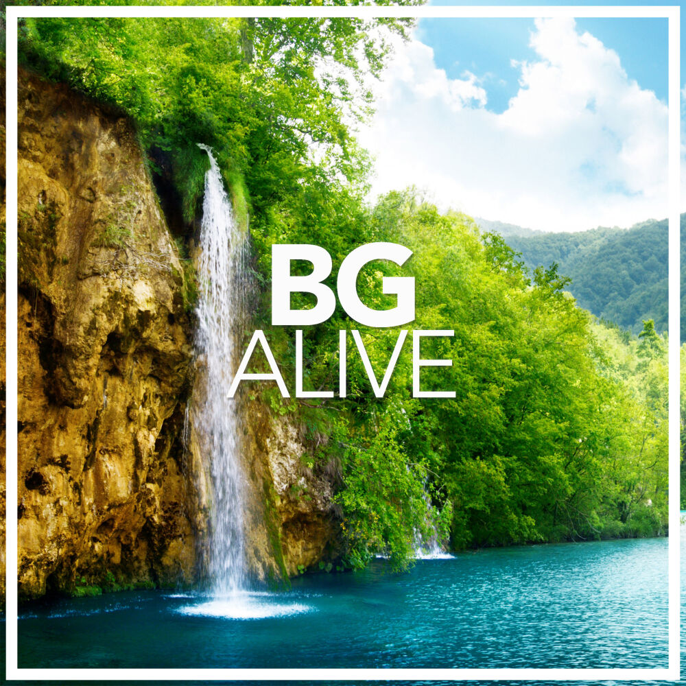 Picture of Alive