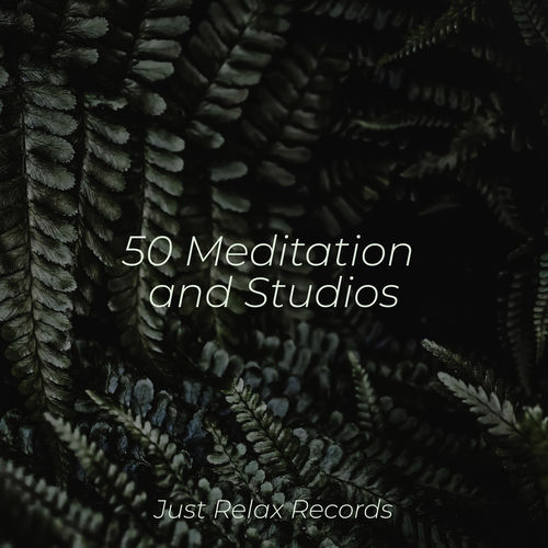 50 Meditation and Studios