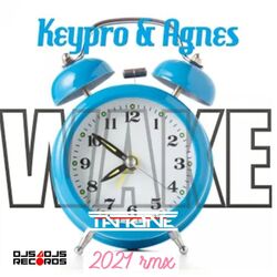 Cover of Wake