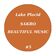 Beautiful Music (Original Mix)