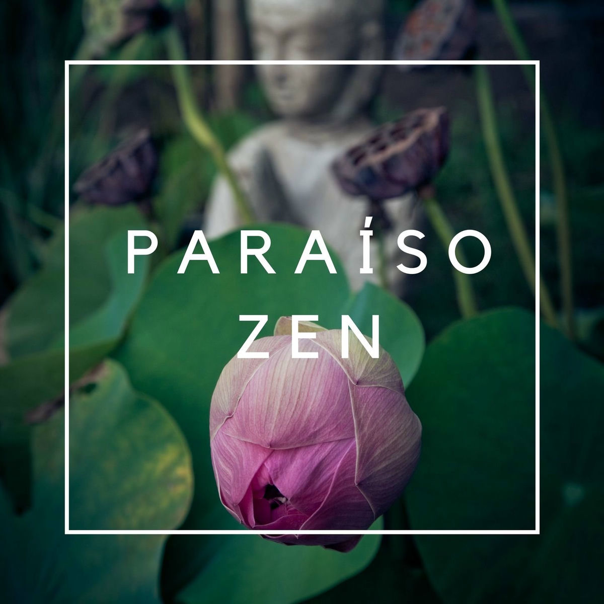 Album cover of Paraíso Zen: Música para Crear una Atmófera Natural de Paz y Tranquilidad, Meditar, Estudiar, Dormir