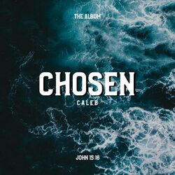Cover of Chosen
