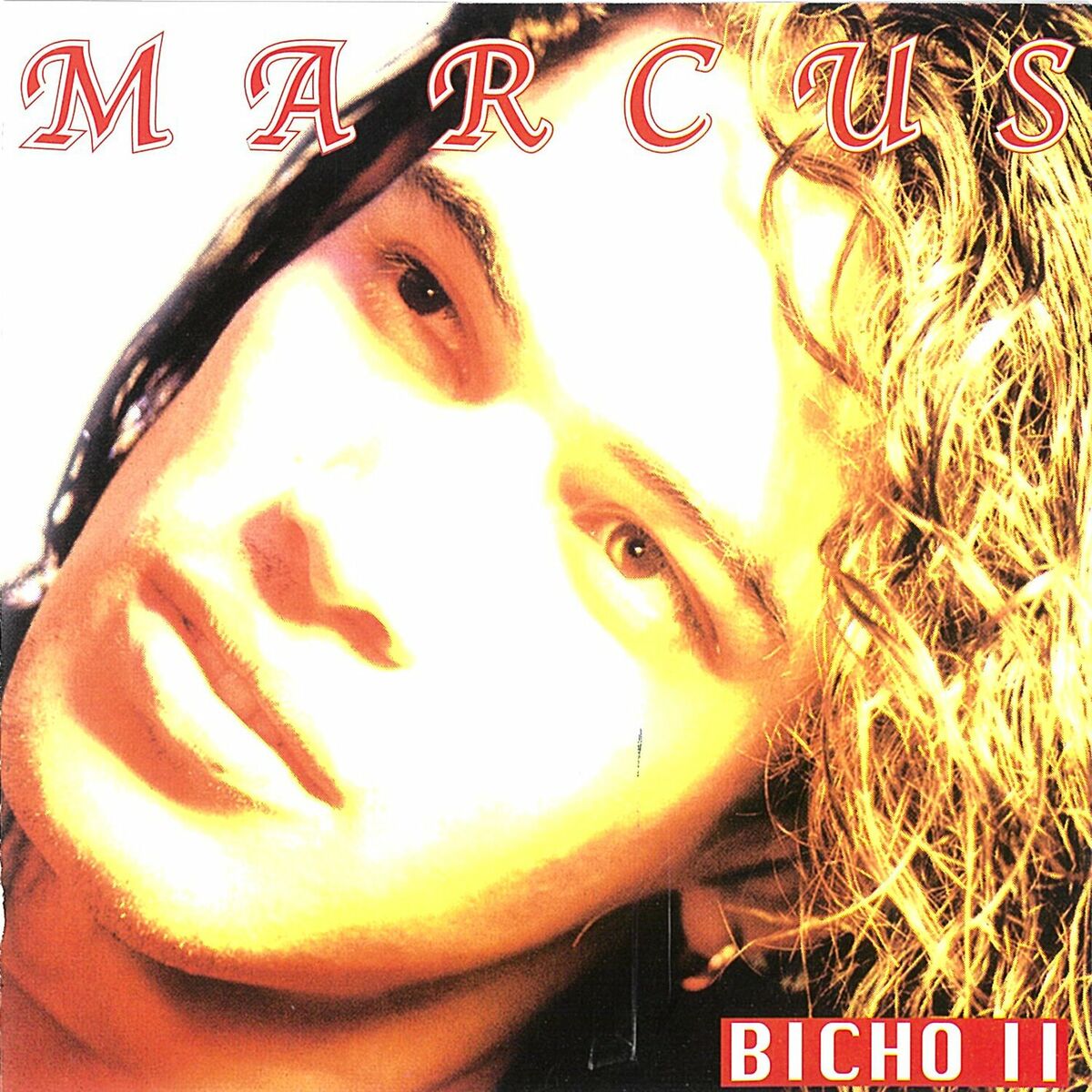 Album cover of Bicho II