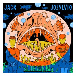 Cover of Liegen