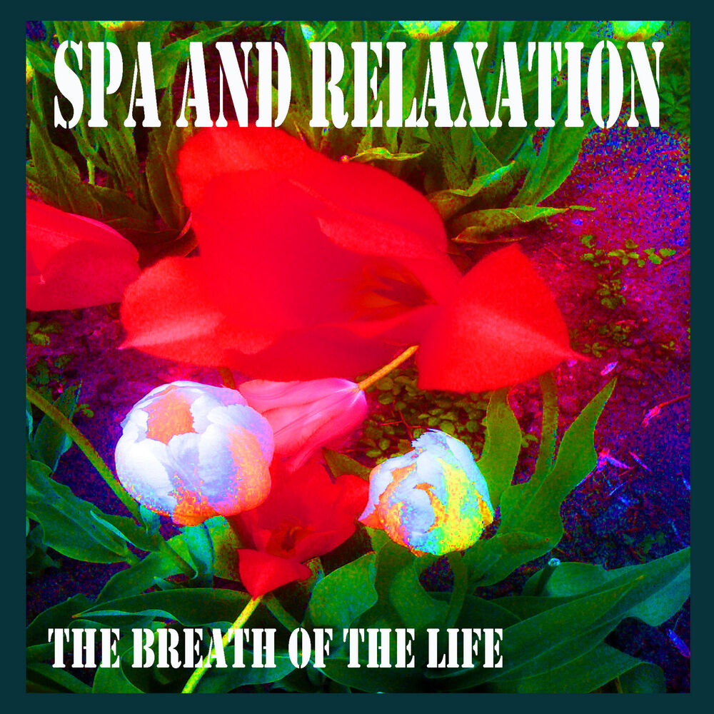 Picture of Spa and Relaxation