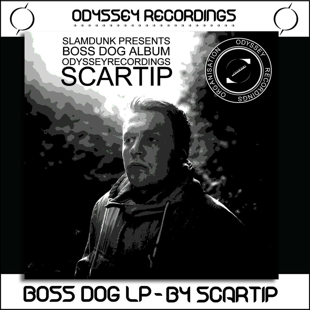 Picture of Boss Dog