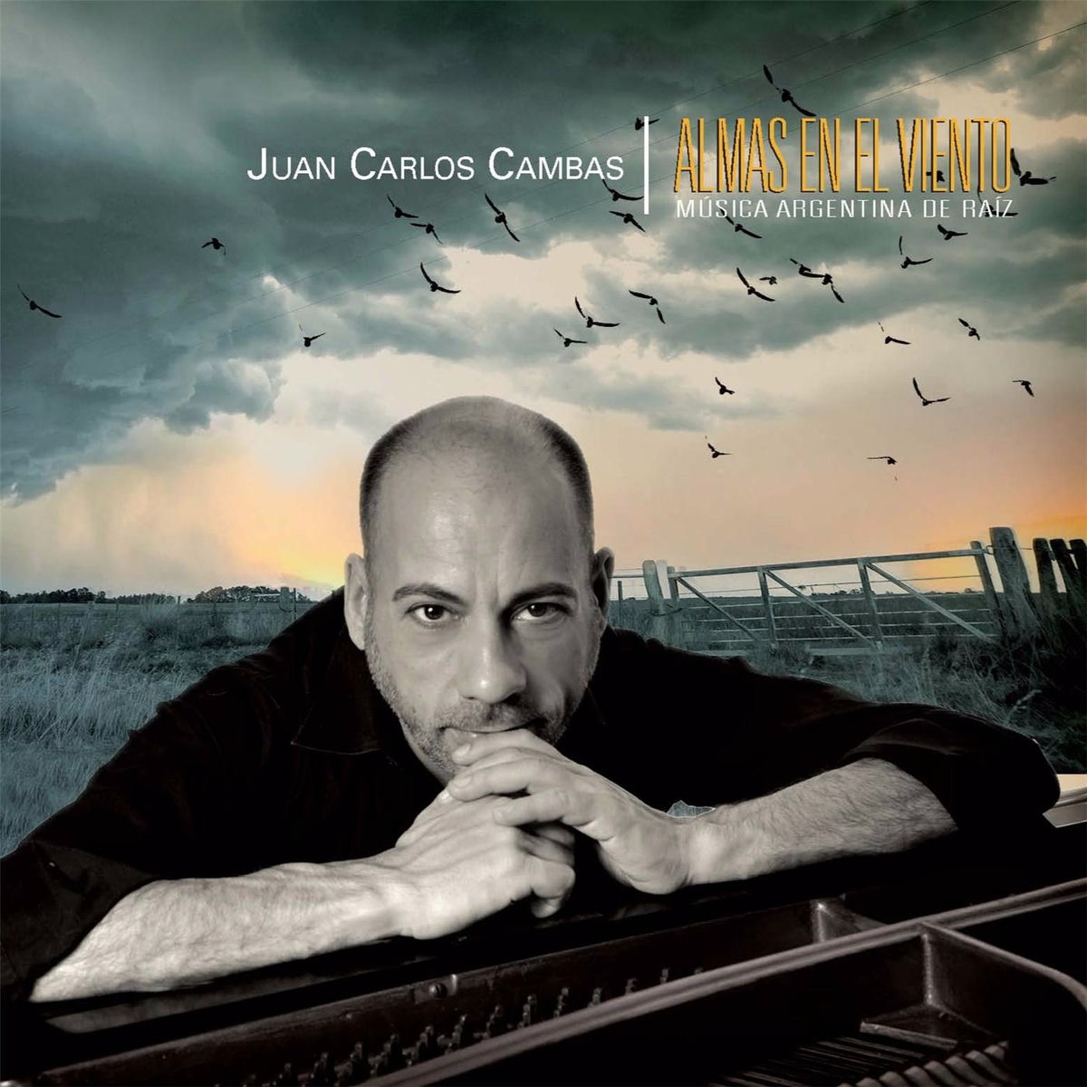 Album cover of Pecado de Juventud